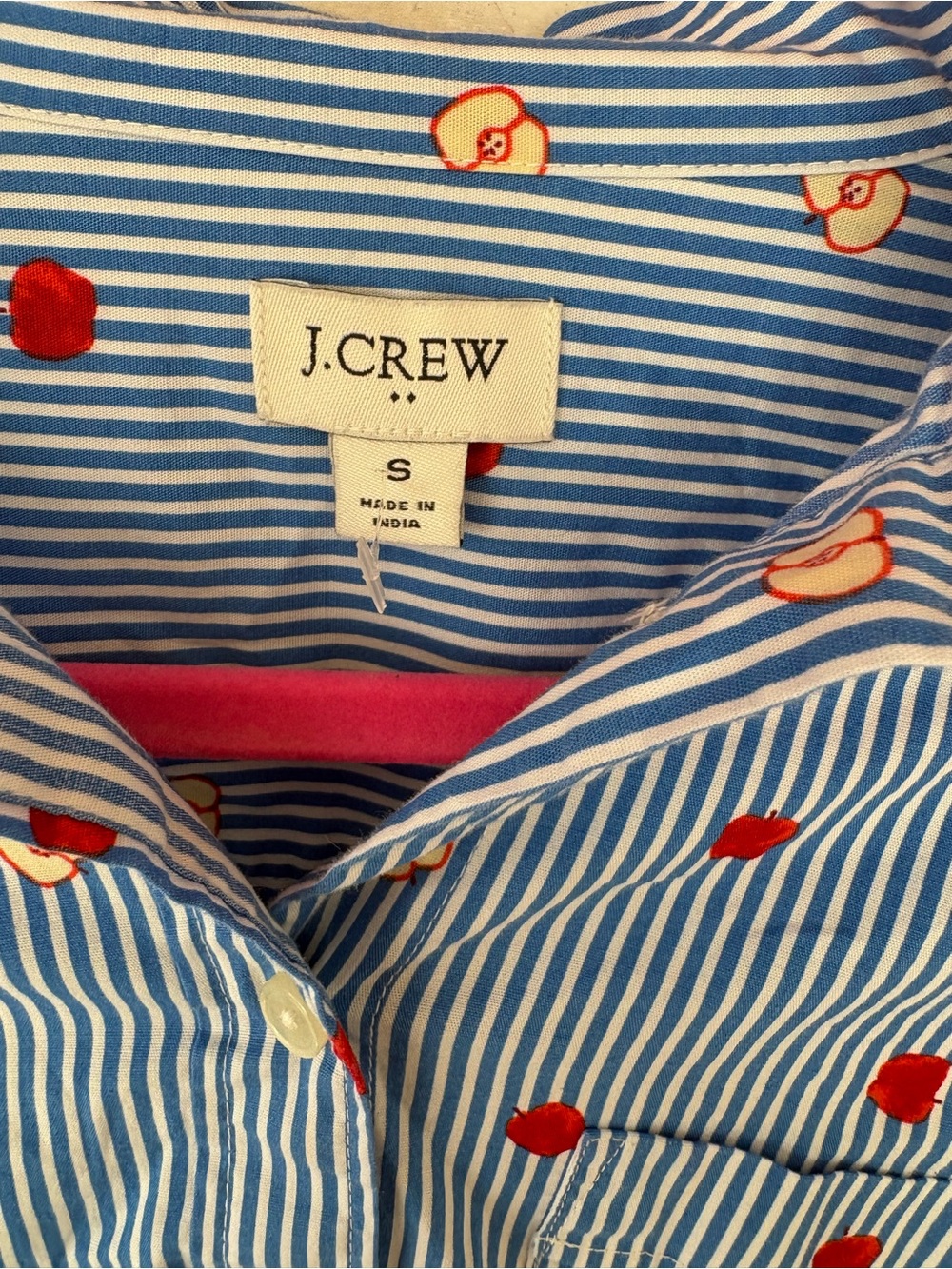 J. Crew Blue and White Striped Button-Down with Red Apple Print